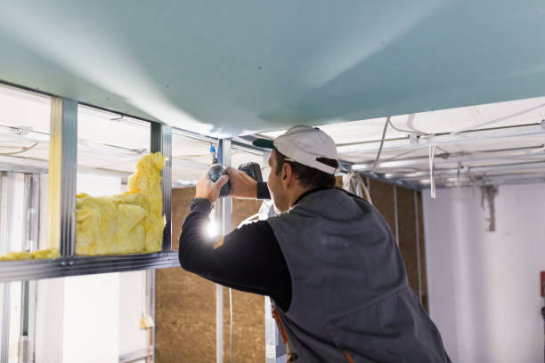 Best Insulation Maintenance and Repair in Harrogate, TN