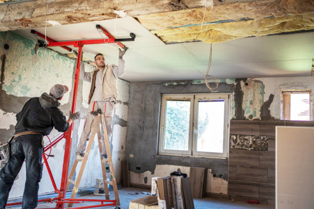 Best Cellulose Insulation in Harrogate, TN