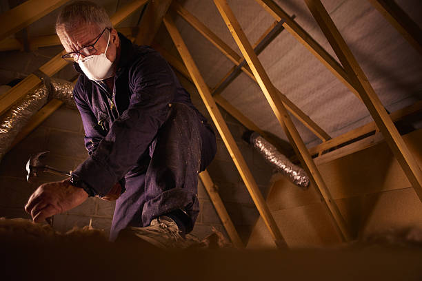 Best Spray Foam Insulation in Harrogate, TN